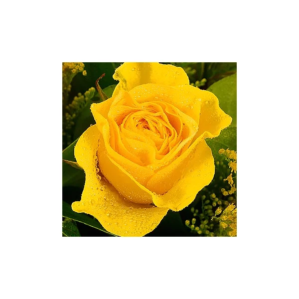 Божественный нектар